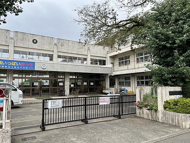 相模原市立桜台小学校まで約590m(徒歩8分)