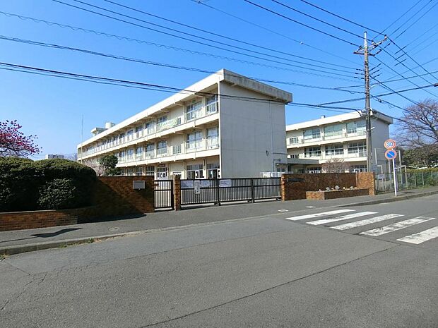 相模原市立鹿島台小学校まで約871m（徒歩11分）