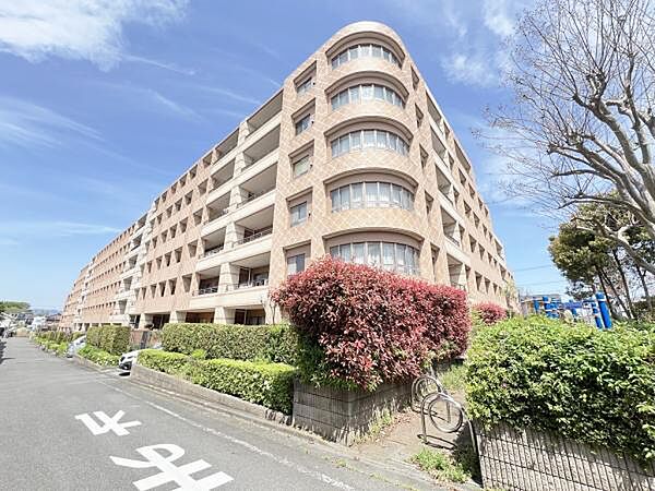 ぜひ現地をご覧くださいませ。
