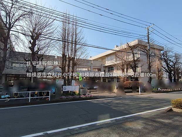 相模原市立桜台小学校まで約100m(徒歩2分)