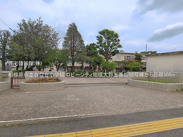 相模原市立谷口台小学校まで約600m（徒歩8分）