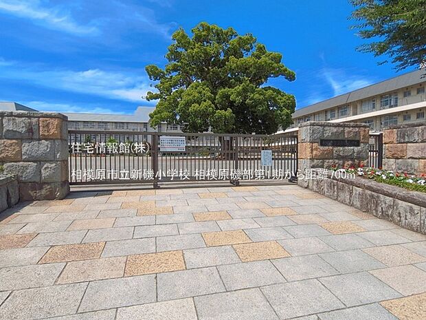相模原市立新磯小学校まで約700m(徒歩9分)