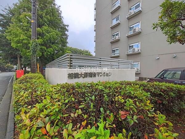 ゆったりとした印象のエントランスです。