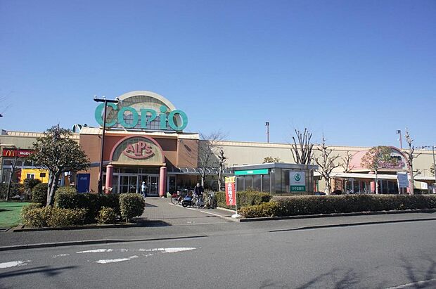 スーパーアルプス 城山店まで約1010m(徒歩13分)