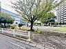周辺：南橋本やまぶき公園まで約80m（徒歩1分）