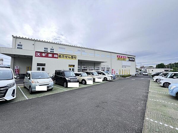 スギドラッグ海老名中央店まで約840m（徒歩11分）