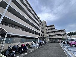 ルピナスかしわ台