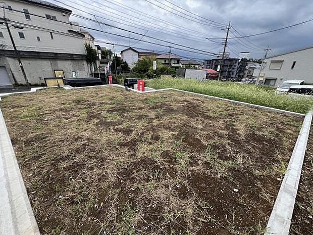 現地写真です。