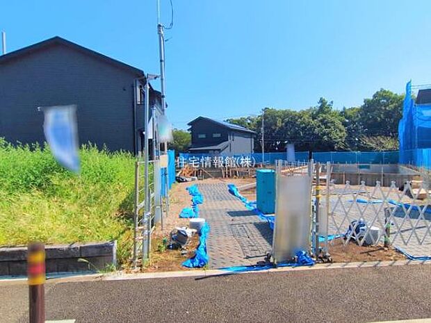 現地写真です。