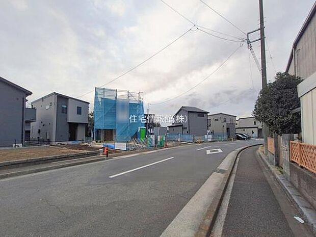 現地写真です。