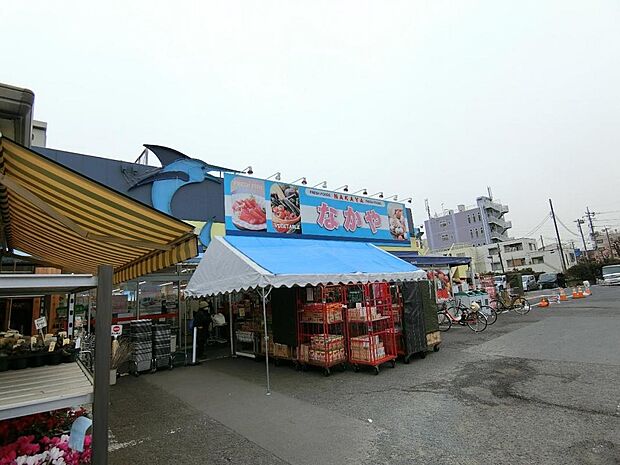 新鮮市場なかや 座間入谷店まで約830m（徒歩11分）