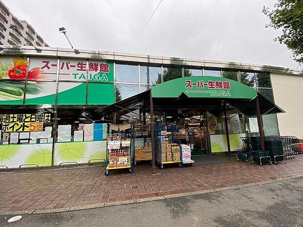 スーパー生鮮館TAIGA座間店まで約1820m(徒歩23分)