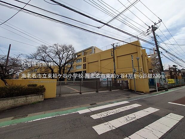 海老名市立東柏ケ谷小学校まで約230m（徒歩3分）