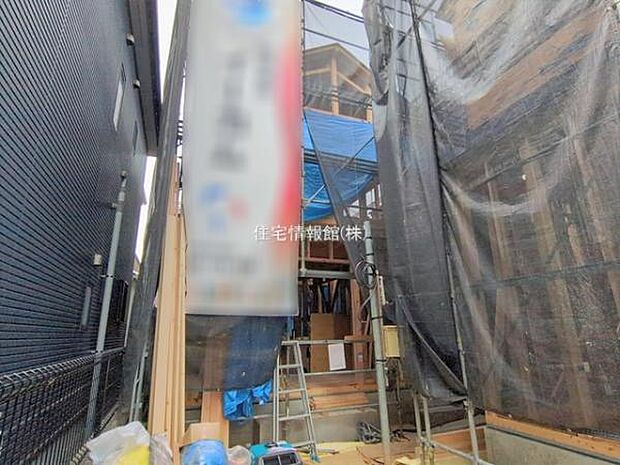 現地写真です。