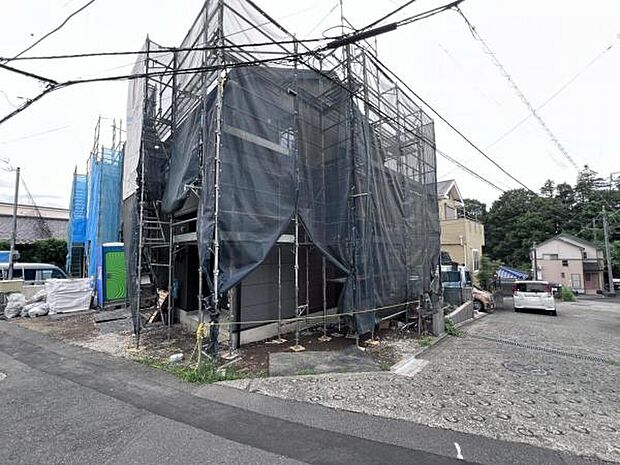 現地写真です。
