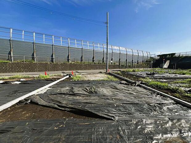 現地写真です。