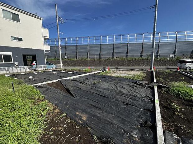 現地写真です。