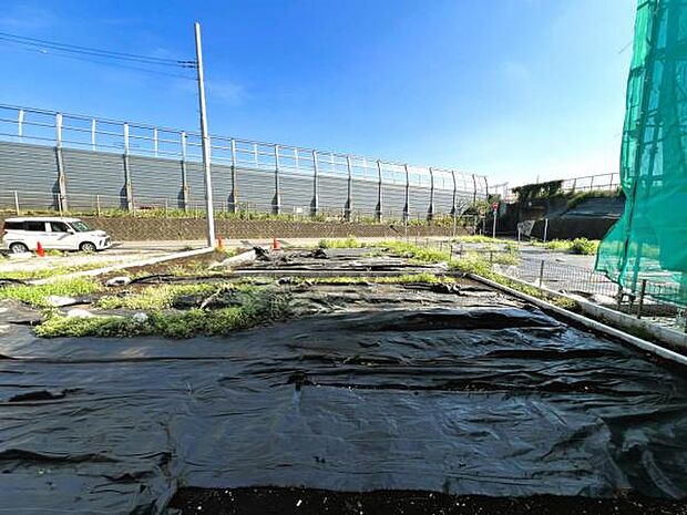 現地写真です。