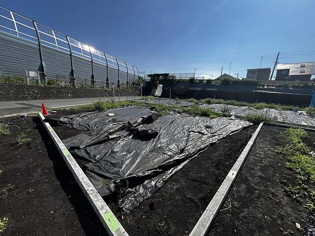 現地写真です。