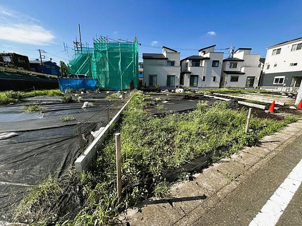 現地写真です。