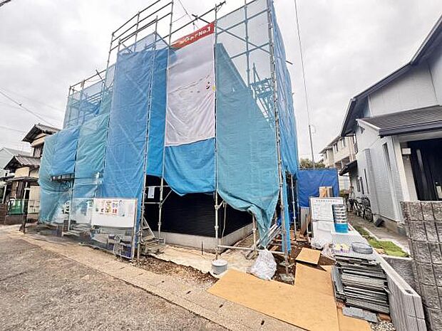 現地写真です。