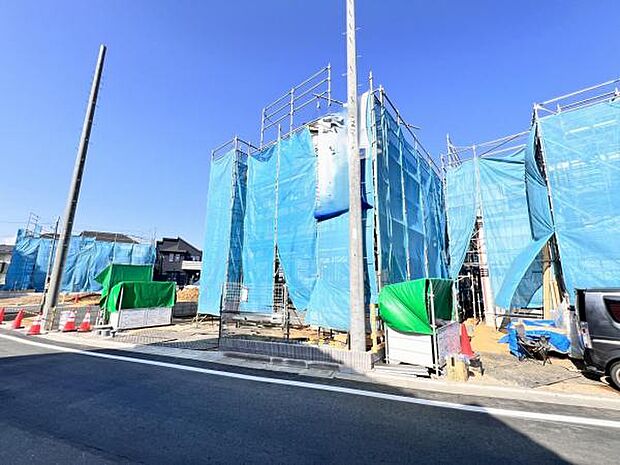 現地写真です。