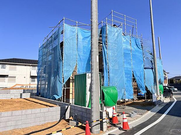 現地写真です。