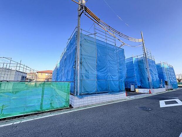 現地写真です。