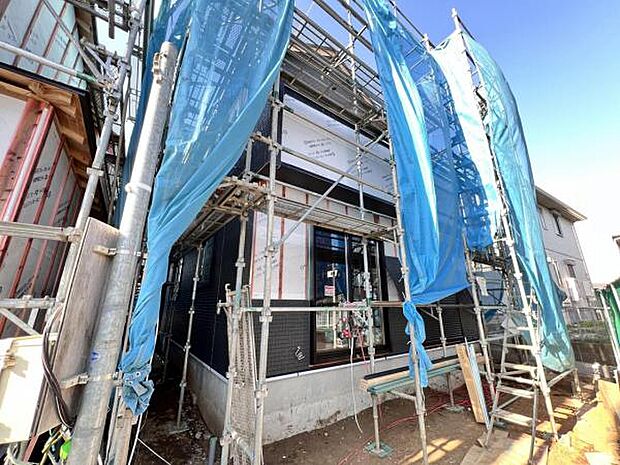 現地写真です。