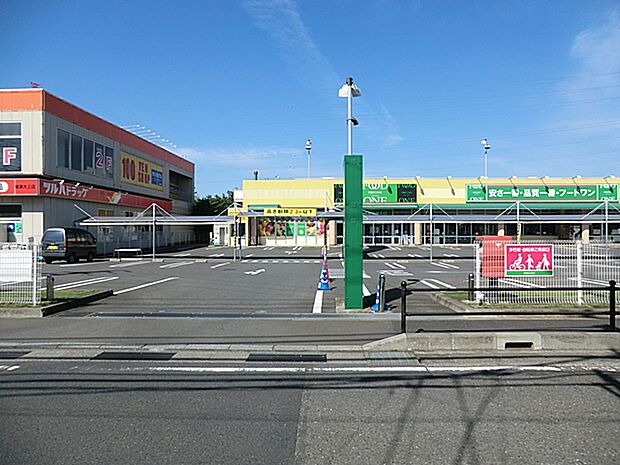 フードワン 綾瀬店まで約1260m(徒歩16分)