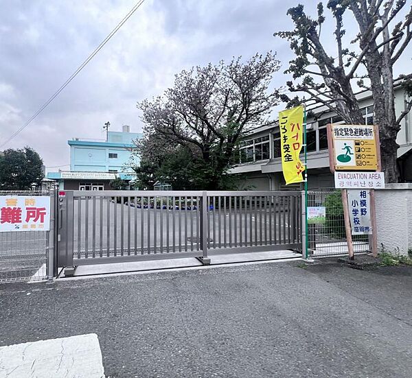 座間市立相模野小学校まで約560m（徒歩7分）