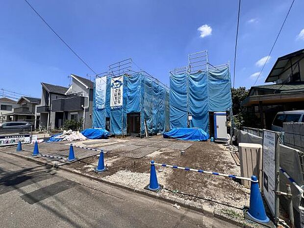 現地写真です。