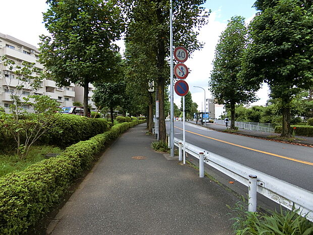 前面道路は広い歩道がございます。