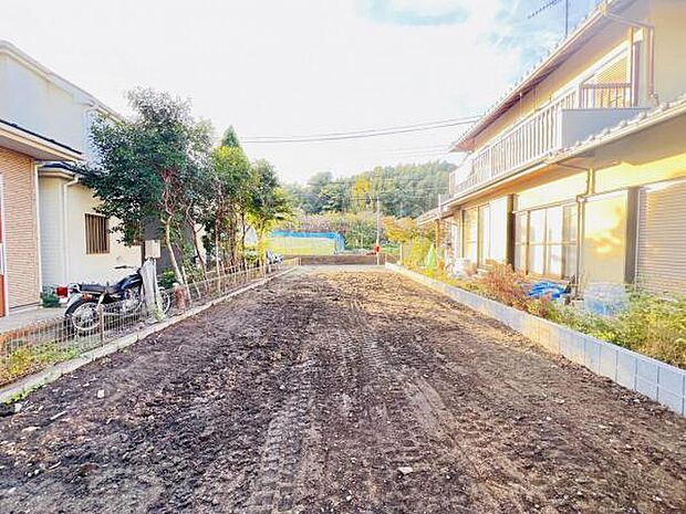 現地写真です。