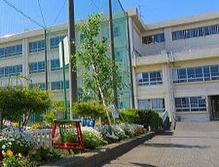 茅ヶ崎市立今宿小学校まで約590m(徒歩8分)