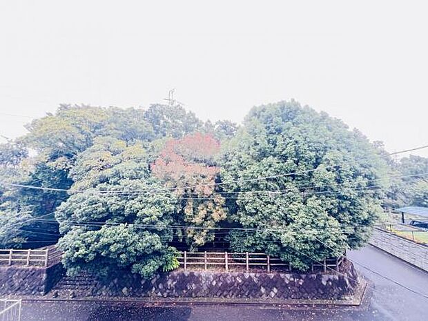 お住まいからの眺望です。