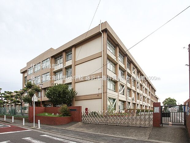 藤沢市立亀井野小学校まで約1000m（徒歩13分）