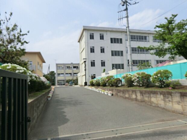 茅ヶ崎市立浜須賀中学校まで約1300m（徒歩17分）