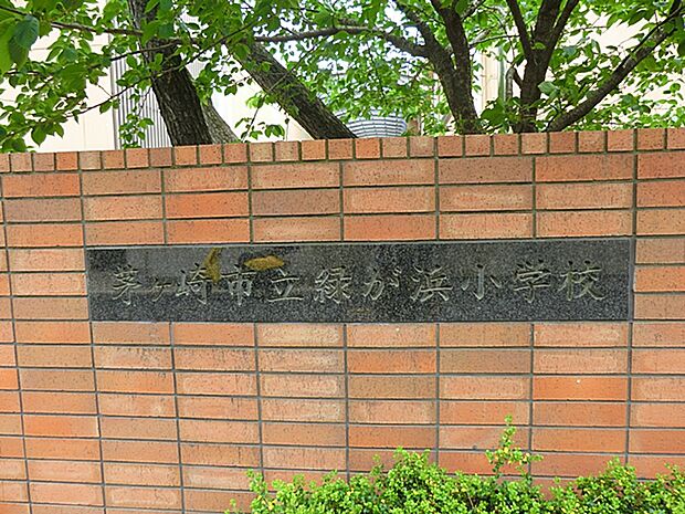 茅ヶ崎市立緑が浜小学校まで約270m（徒歩4分）