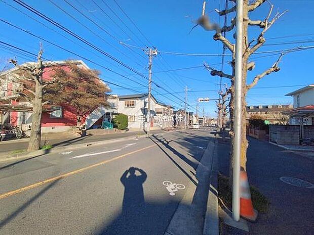 現地写真です。