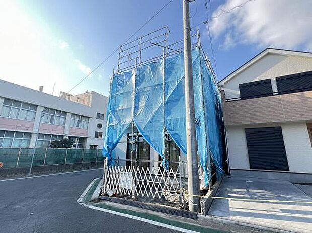 現地写真です。