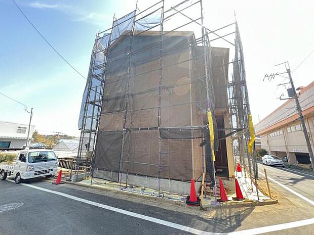 現地写真です。