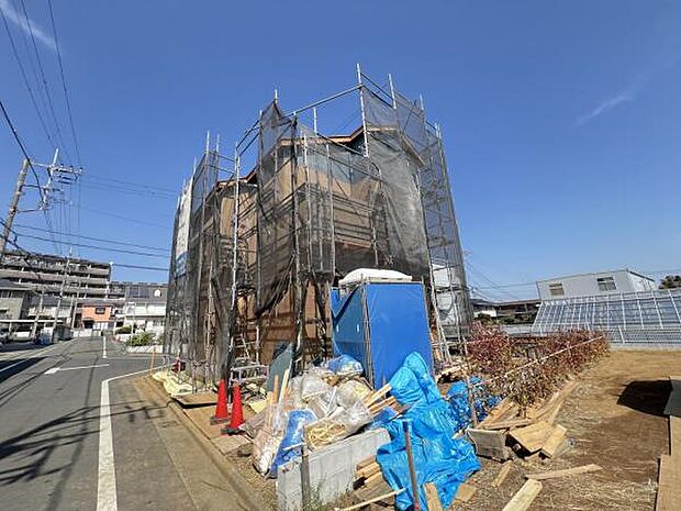 現地写真です。