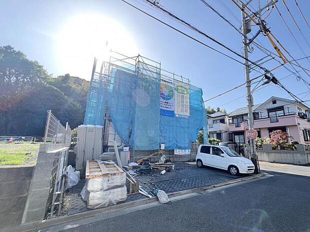 現地写真です。