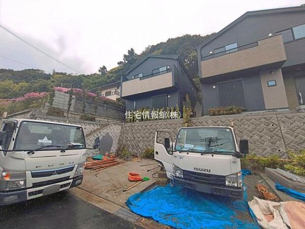 現地写真です。