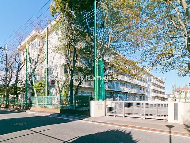 横浜市立瀬谷さくら小学校まで約950m(徒歩12分)