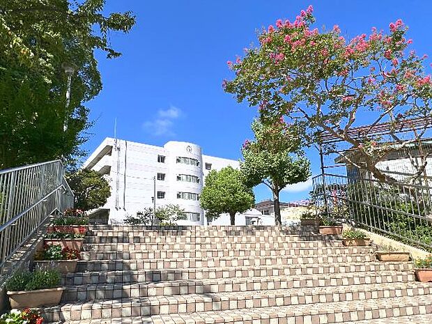 横浜市立西が岡小学校まで約200m(徒歩3分)