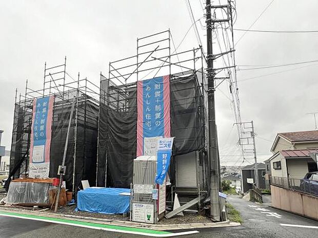 現地写真です。