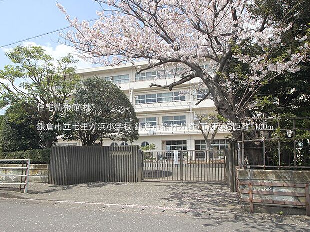 鎌倉市立七里ガ浜小学校まで約1100m（徒歩14分）