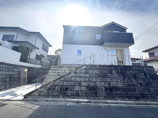 現地写真です。